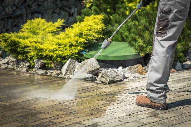 Best Boat and Dock Cleaning  in Schler Park, IL