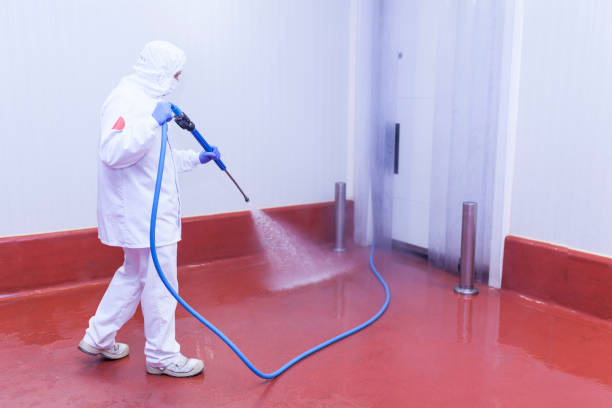 Best Sign and Awning Cleaning  in Schler Park, IL
