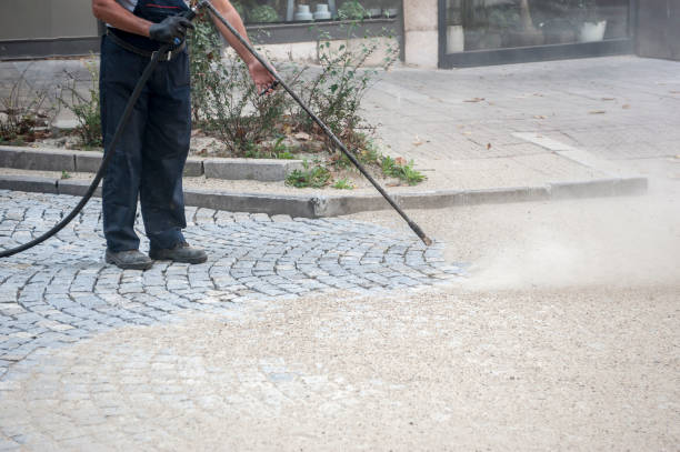 Best Sidewalk and Walkway Cleaning  in Schler Park, IL