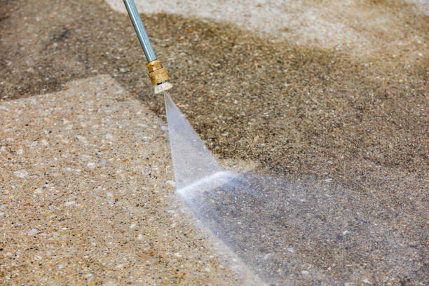 Best Animal Enclosure Cleaning  in Schler Park, IL