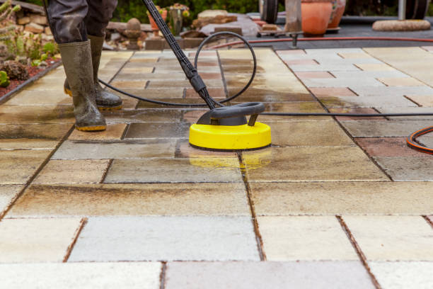 Best Spring Cleaning  in Schler Park, IL