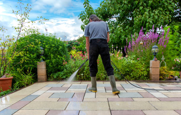Best Winterizing Services  in Schler Park, IL