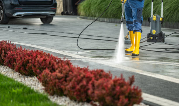 Best Factory Floor Cleaning  in Schler Park, IL